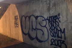 ucsthrowup